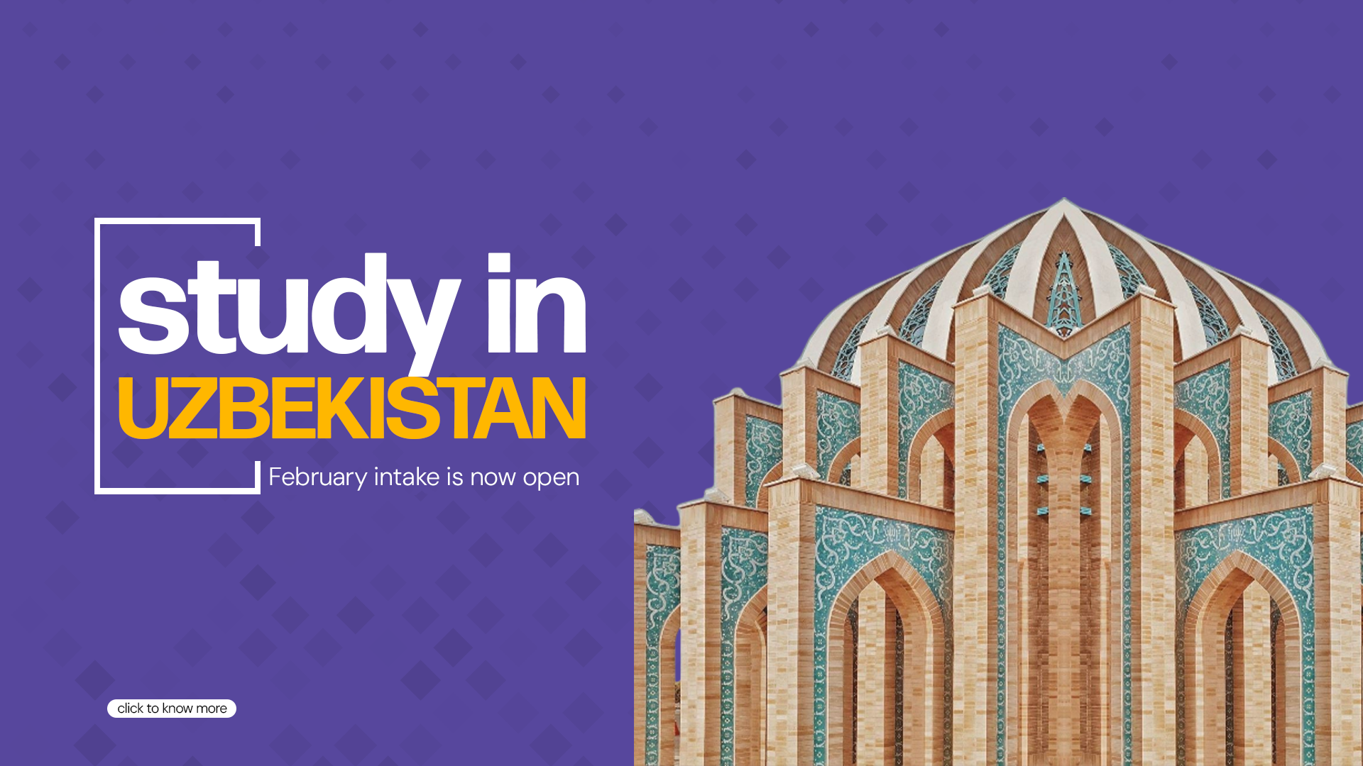Bayroot Study Abroad