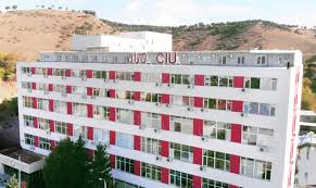 Caucasus's International University