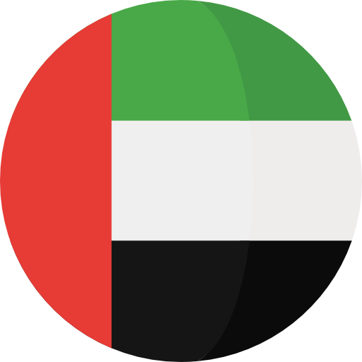 Dubai flag